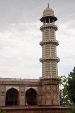 IMG_3311.jpeg