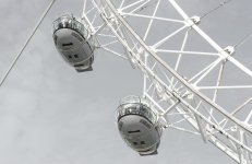 IMG_3355.jpeg