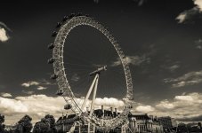 IMG_3354.jpeg