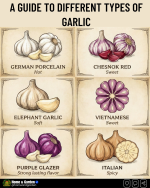 1765230272648.png