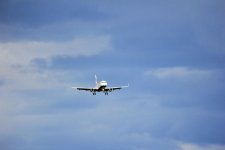 IMG_3384.jpeg