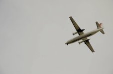 IMG_3385.jpeg