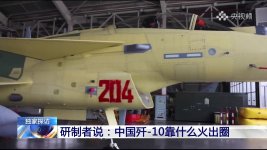 J-10CE cn. 204 - strange number - 沉默的山羊 - 4.jpg