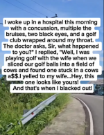 1766165009854.png