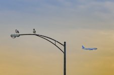 OutNAbout-0431.jpg