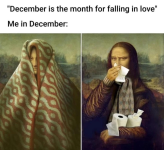 1766589274402.png