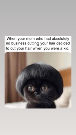 1766598060448.png
