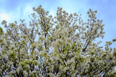 OutNAbout--9.jpg
