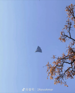 1766635311338.png