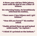 1766760696273.png