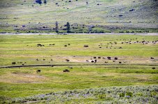 OutNAbout--60.jpg