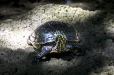 OutNAbout--72.jpg