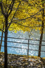 OutNAbout--82.jpg