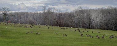 OutNAbout--85.jpg