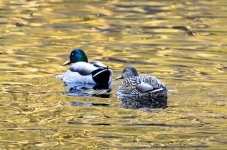 OutNAbout--109.jpg