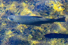 OutNAbout--110.jpg