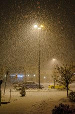 OutNAbout-5032.jpg