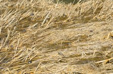OutNAbout-5156-2.jpg