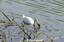 OutNAbout-5159.jpg