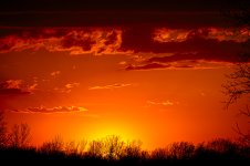 OutNAbout-2998.jpg