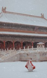 ❄️冬天就要穿明制汉服去故宫拍雪景_1_影子爱旅拍_来自小红书网页版.jpg