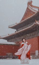❄️冬天就要穿明制汉服去故宫拍雪景_3_影子爱旅拍_来自小红书网页版.jpg