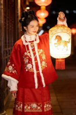 0元get❤️超好看！汉服新年写真朋友赞爆了_4_Ai写真研究所_来自小红书网页版.jpg