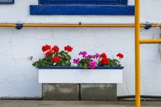 OutNAbout-7025.jpg