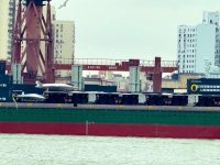 IMG_6199.jpeg