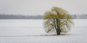 OutNAbout-0379.jpg