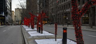 OutNAbout-1520.jpg
