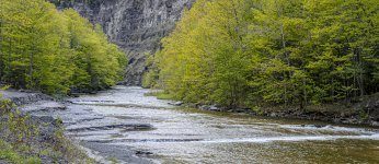 OutNAbout-2973.jpg