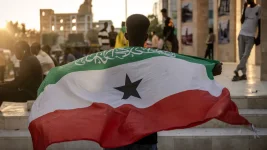 somaliland flag afp.jpg.webp