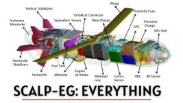 IMG_5433.jpeg