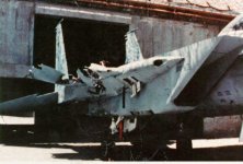 f15_wing_1024x1024.jpg