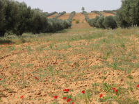 1767742771006.png
