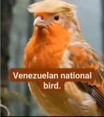 1767754437219.jpeg