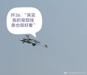 J-36 36011 - 欧阳振我86468.jpg