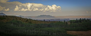 OutNAbout-01802.jpg