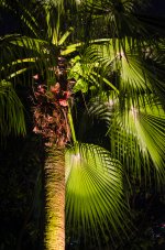 OutNAbout-3176.jpg