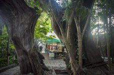 OutNAbout-9282.jpg
