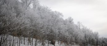 OutNAbout-0346.jpg