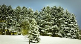 OutNAbout-0532.jpg