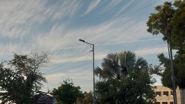 20260115_172141.jpg
