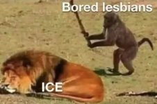 1768534535872.jpeg
