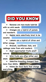 1768598593830.png
