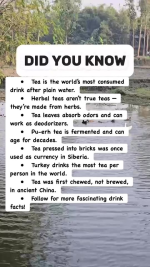 1768598675740.png