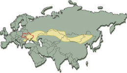 1768671943255.png