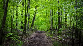 OutNAbout--4.jpg