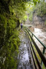 OutNAbout--7.jpg